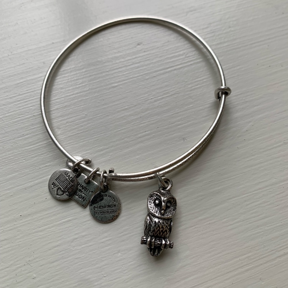 Alex and Ani Silver Owl adjustable bangle